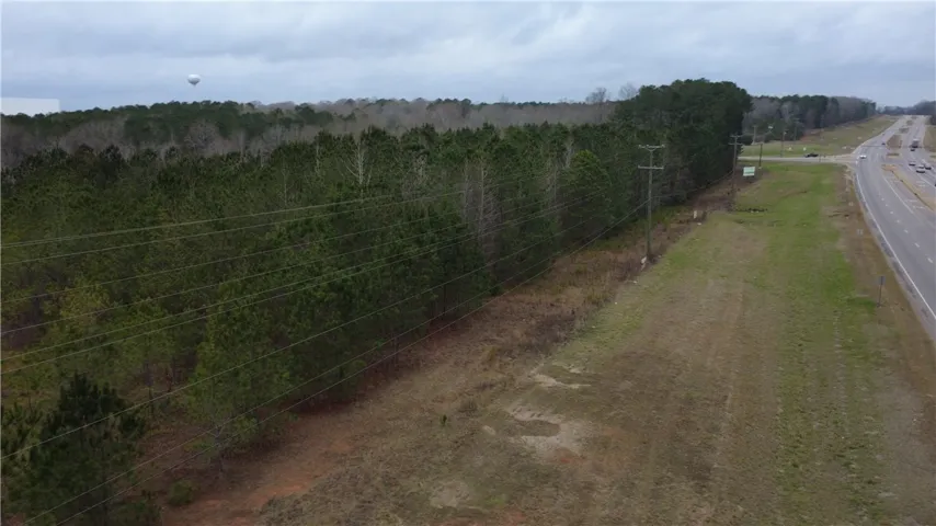 0 Us Highway 231 N/a, Brundidge, Alabama 36010