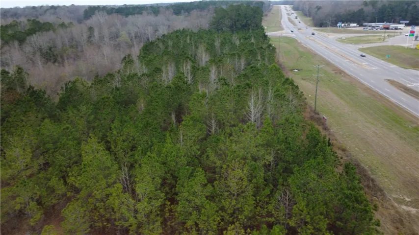 0 Us Highway 231 N/a, Brundidge, Alabama 36010