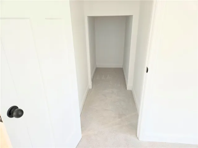 Huge storage closet