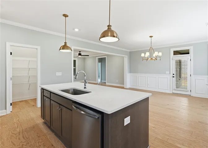 A spacious walk-in pantry provides convenient storage.