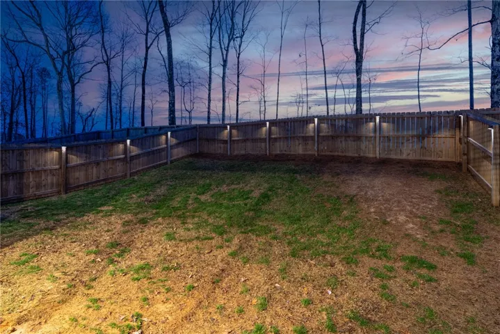 Backyard features professionally installed landscape lighting