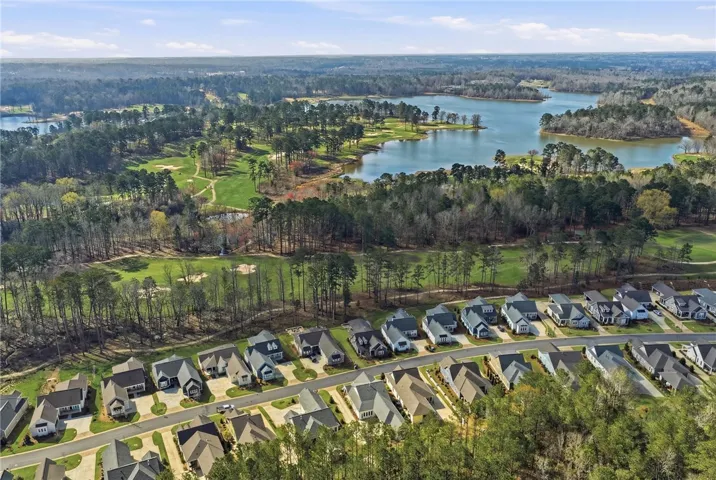 Drone Aerial of National Village (3)