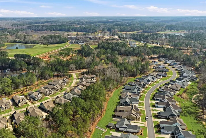 Drone Aerial of National Village (1)