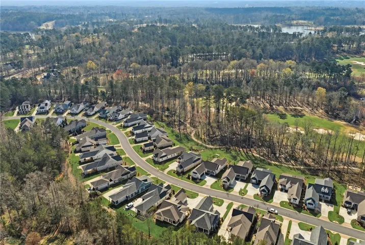 Drone Aerial of National Village (2)