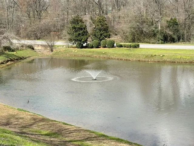 ...with a fountain