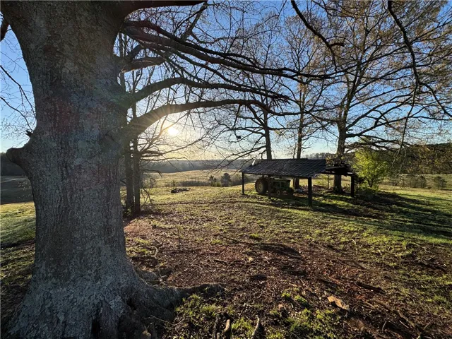 1160 Al Highway 77 N/a, Roanoke, Alabama 36274