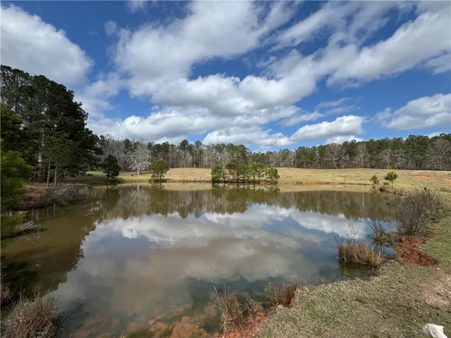 1160 Al Highway 77 N/a, Roanoke, Alabama 36274