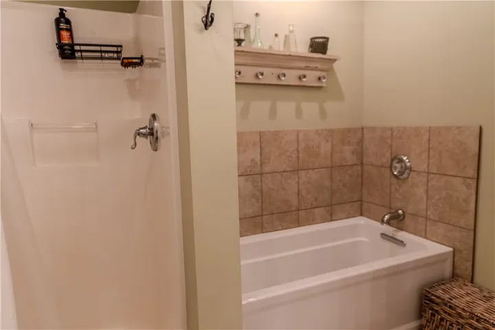 Master bath with walk-in shower & garden tub.