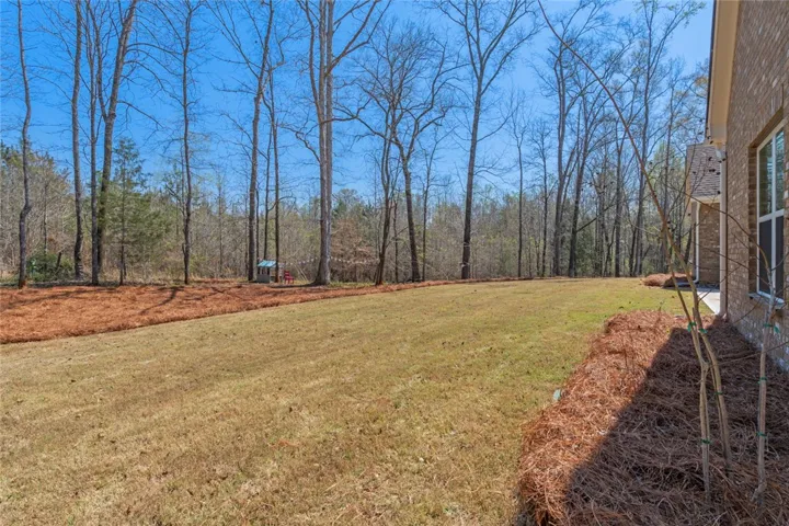 4260 Firefly Bend, Opelika, Alabama 36804