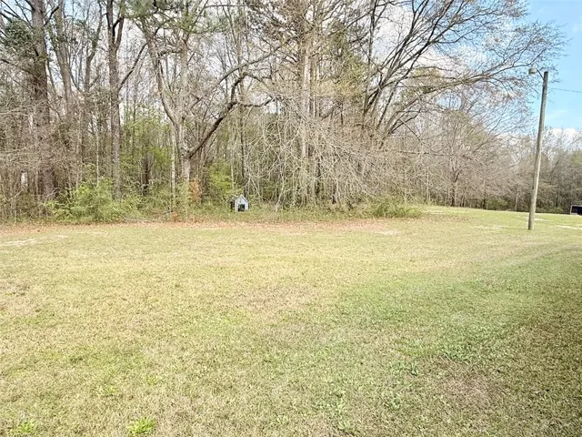 Wooded Backyard