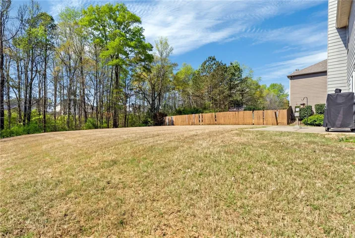 Large level backyard
