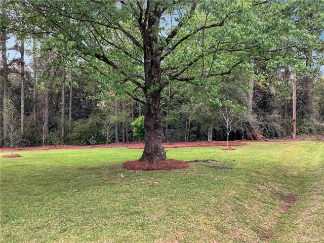 601 Overlook Drive, Opelika, Alabama 36801