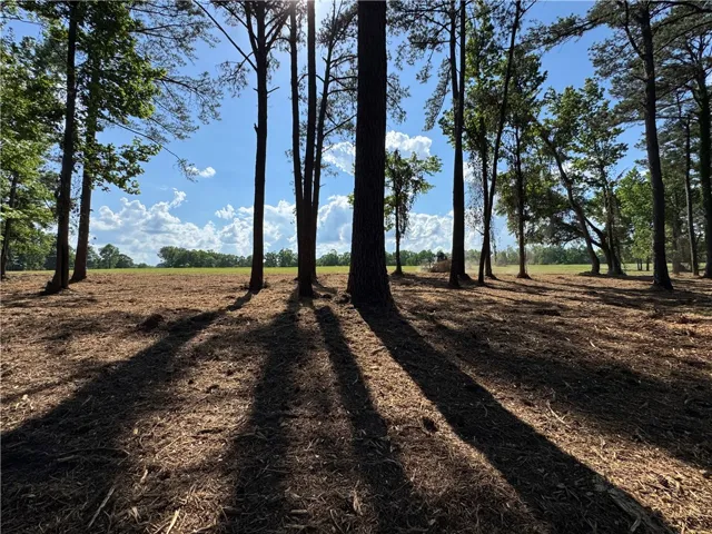 940 Hanson Farms Drive, Auburn, Alabama 36830