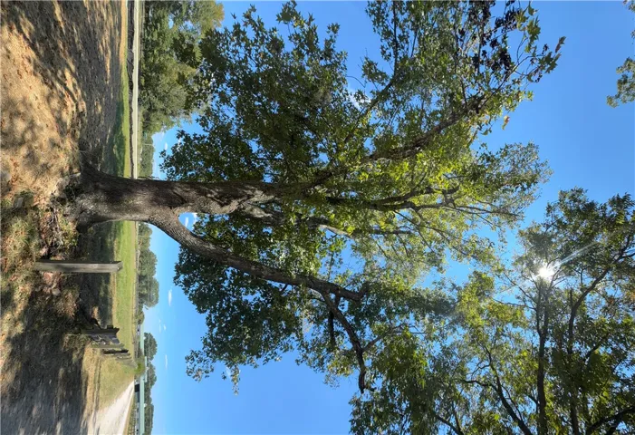 940 Hanson Farms Drive, Auburn, Alabama 36830
