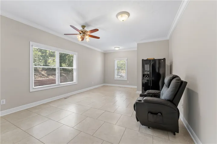 Flex Room/ Downstairs