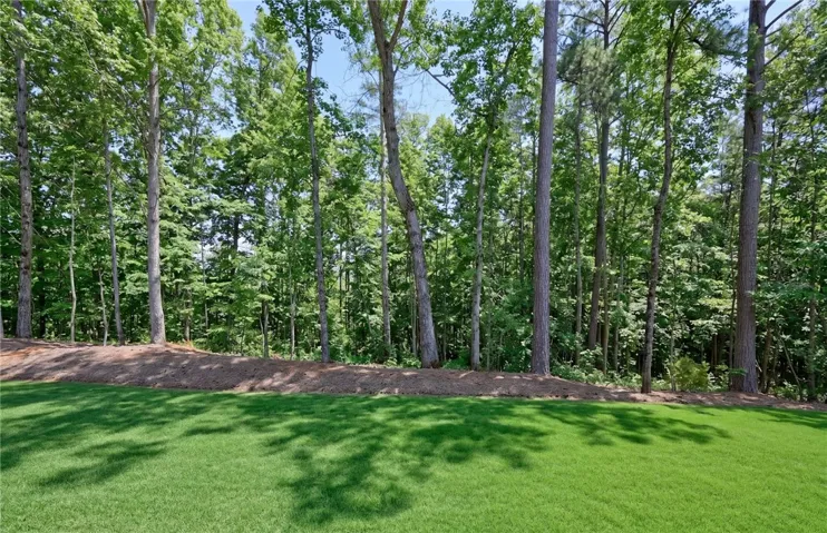 Lush backyard bordered by serene woods!