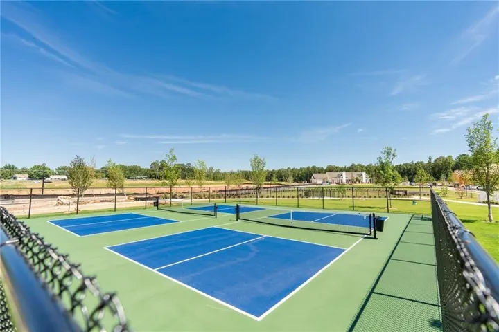 PICKLE BALL COMMUNITY AMENITIES