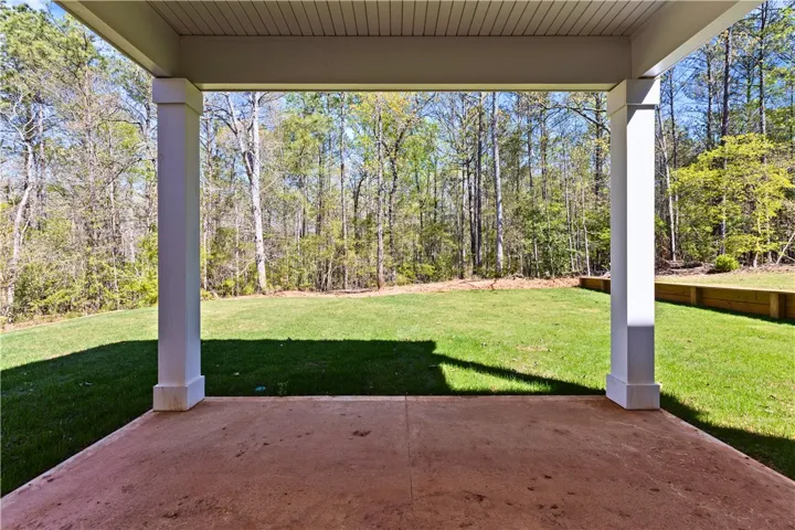 Back Patio