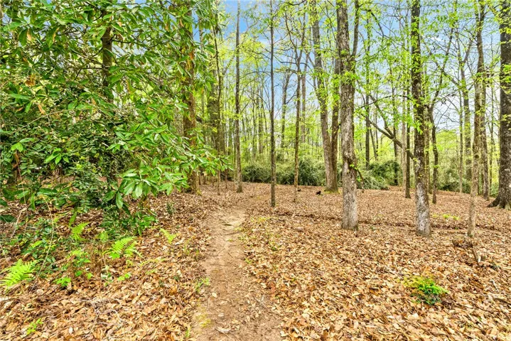 Backyard/Walking Trail