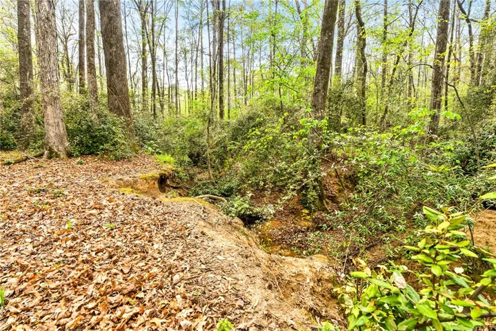 Backyard/Walking Trail