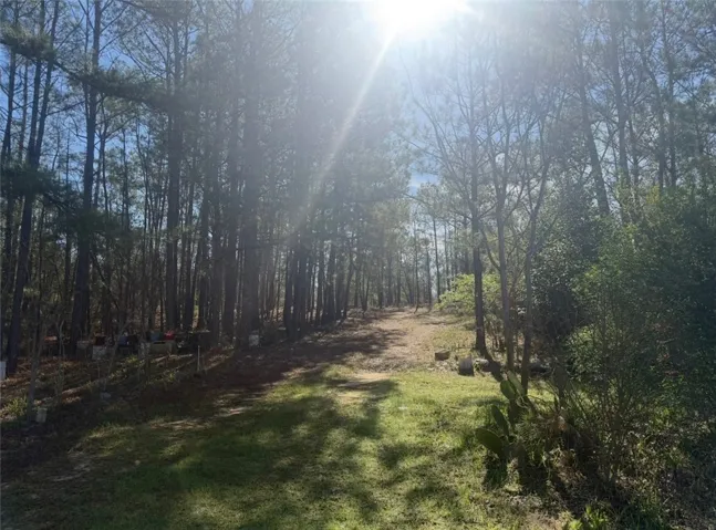 1010 Lee Road 134 N/a, Salem, Alabama 36874