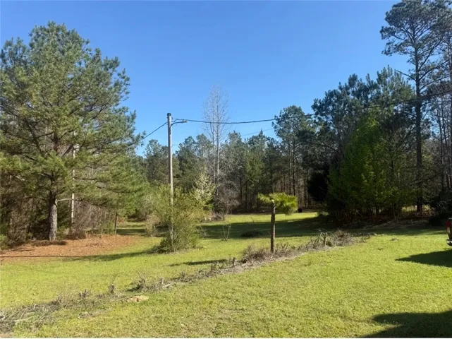 1010 Lee Road 134 N/a, Salem, Alabama 36874