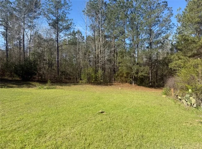 1010 Lee Road 134 N/a, Salem, Alabama 36874