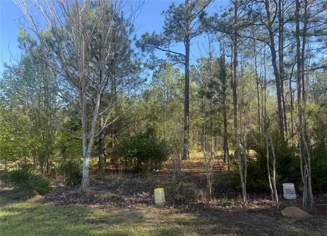 1010 Lee Road 134 N/a, Salem, Alabama 36874