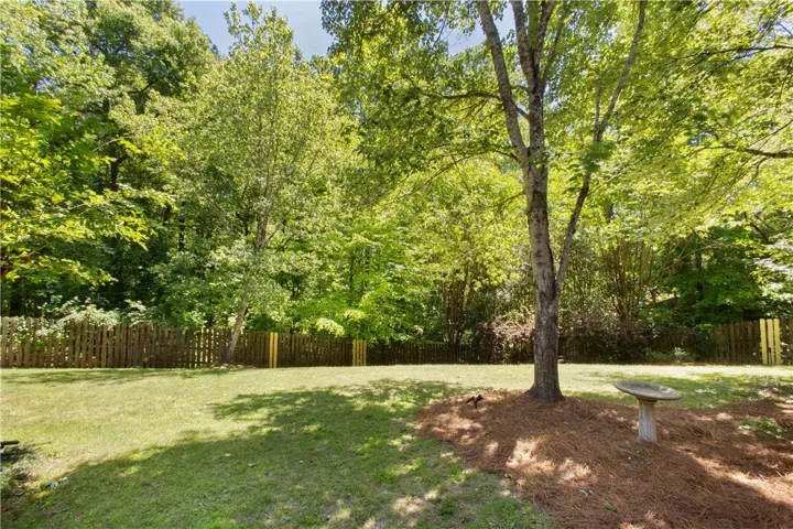 This verdant outdoor space features a lush lawn and a sturdy wooden fence.