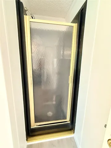 Primary Shower
