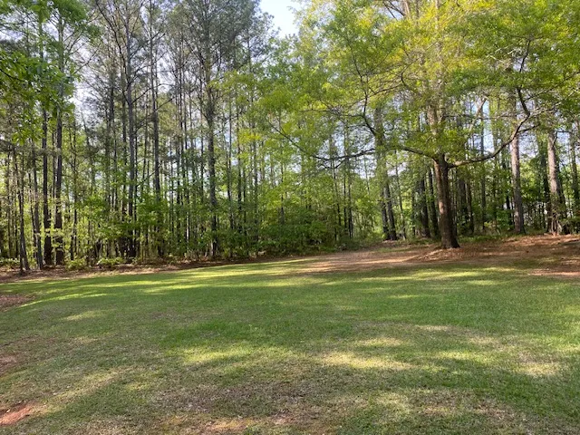 1494 Windwood Drive, Lanett, Alabama 36863