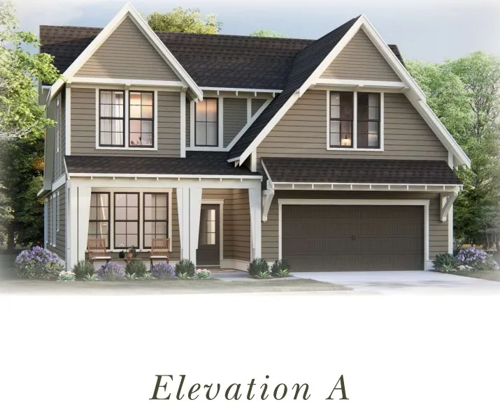 Azalea A Rendering