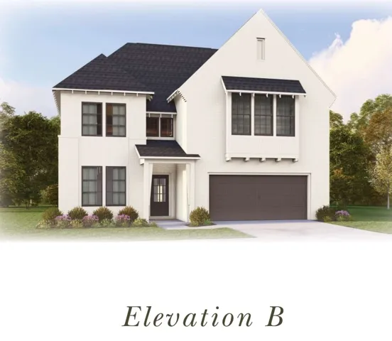 Azalea B Rendering