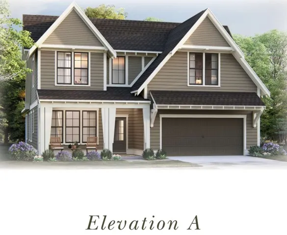 Azalea A Rendering