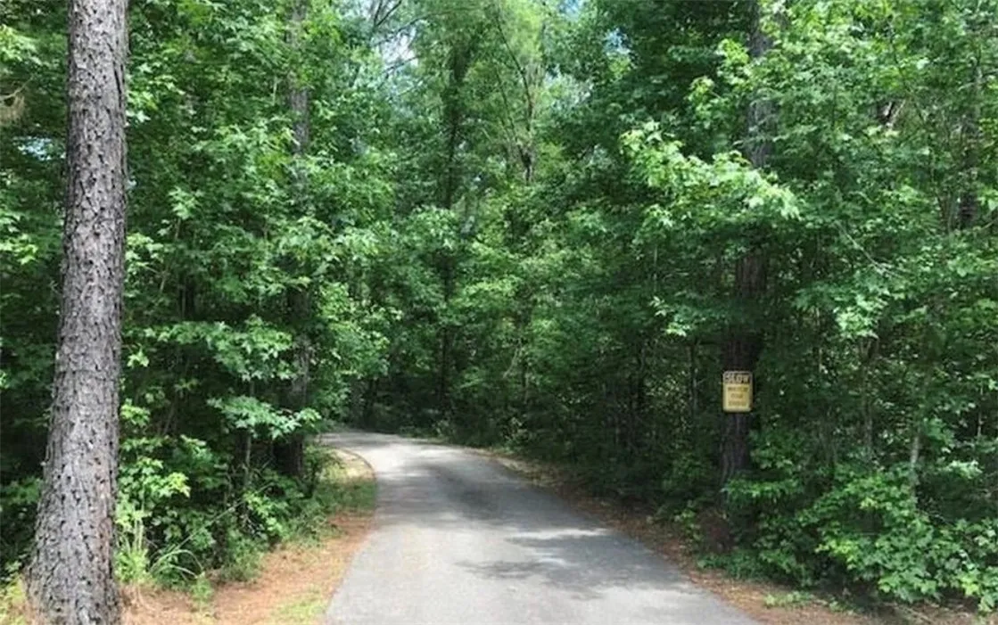 This scenic winding road meanders through a lush, verdant forest, offering a tranquil escape.