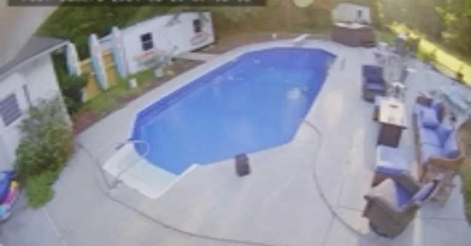 This spacious backyard features a beautiful inground pool and plenty of room for outdoor relaxation.