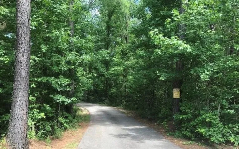 This scenic winding road meanders through a lush, verdant forest, offering a tranquil escape.