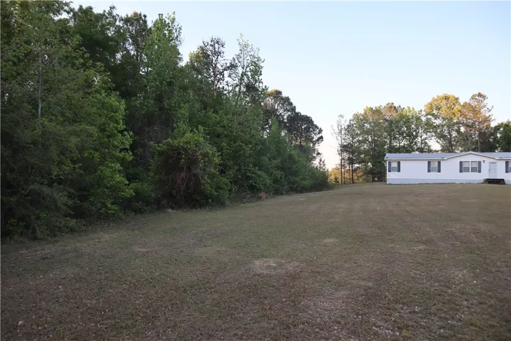 Expansive green yard with ample space, offering serene natural surroundings.