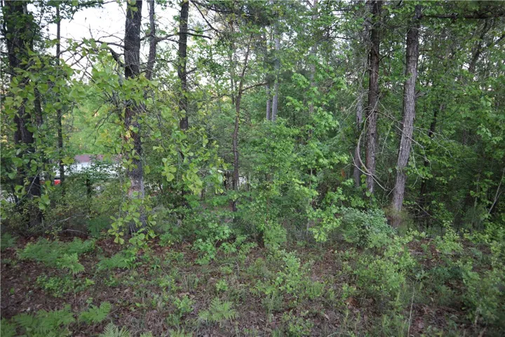 Lush foliage and mature trees offer a tranquil, secluded setting for your future home.