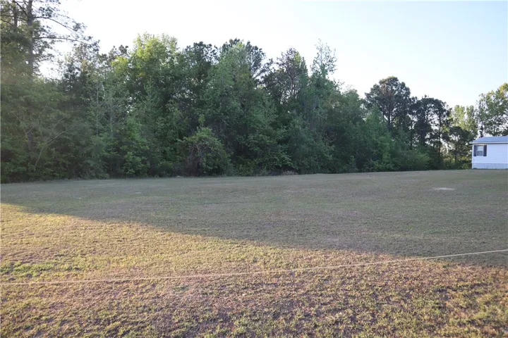A spacious, verdant field bordered by mature trees offers ample room for outdoor activities and future development.