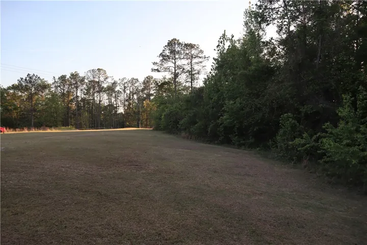 Expansive green space offers a serene canvas for your vision, bordered by mature trees.