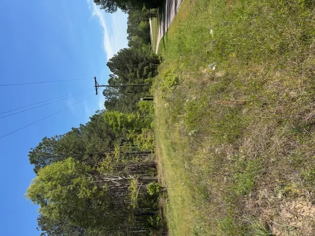 Expansive rural landscape awaits your vision for a serene private oasis.