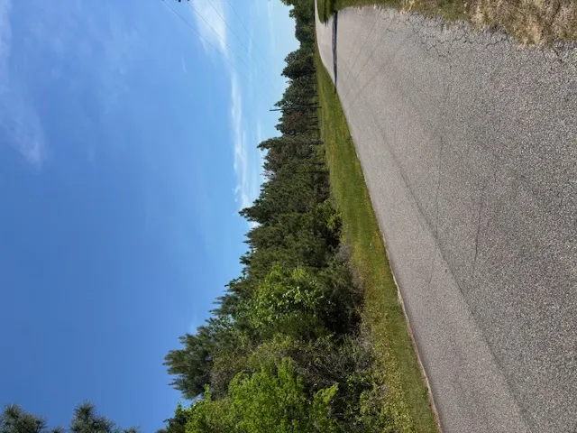A tranquil pathway meanders through verdant foliage under an expansive blue sky.