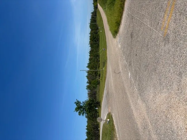 This scenic rural road is enveloped by lush greenery under an expansive blue sky.