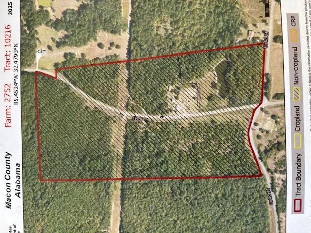 An overhead view of the property boundary in Alabama offers a unique perspective.