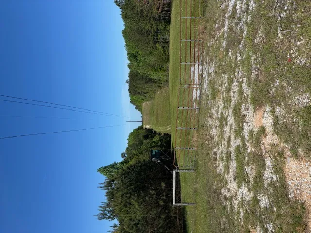 Expansive outdoor area with natural landscaping and clear blue skies, offering ample space and tranquility.