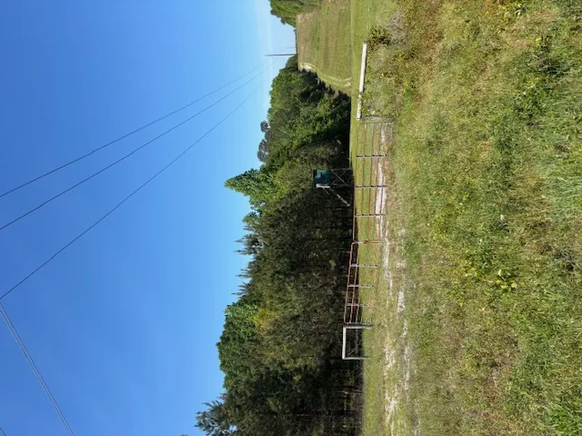 Expansive natural landscape with lush greenery, clear blue skies, and an inviting private yard.