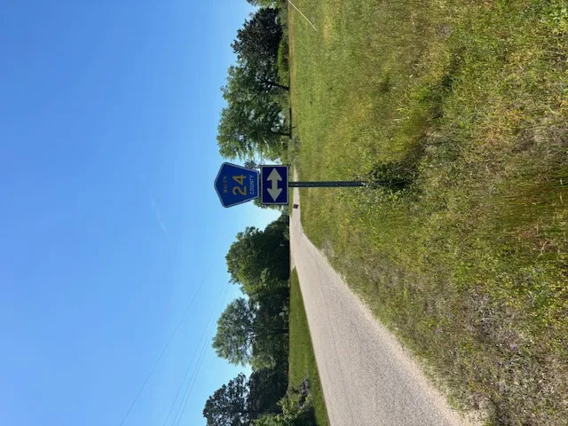 A clear blue sky hovers above a verdant landscape, featuring a paved path leading into the distance.