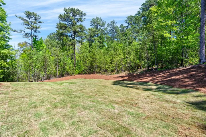 The expansive lawn fully utilizes the acre-size homesite, with trees lining each side to provide privacy and a natural backdrop.