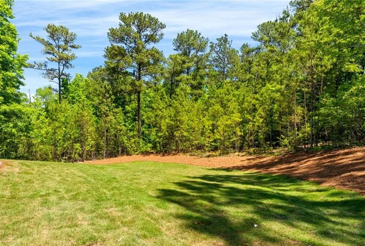 This verdant expanse offers a serene setting for a future residence, embraced by mature trees.